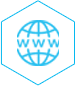 www Globe Icon