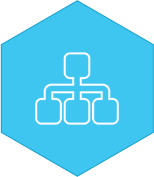 Network Icon